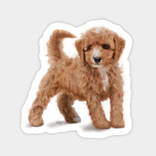 Cockapoo Puppy - Red and White Sticker